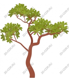  Elegant tree