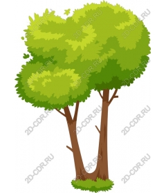 Lush green tree