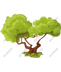 Lush green tree