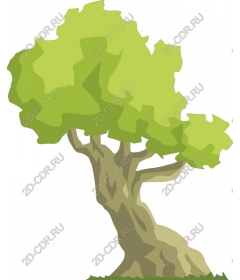 Lush green tree