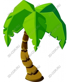 Tropical palm tree