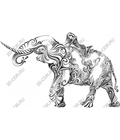  Elegant elephant