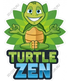  Turtle Zen