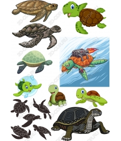 Turtle Wonders: яркая коллекция