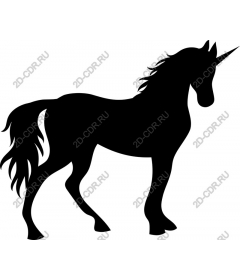  Charming unicorn