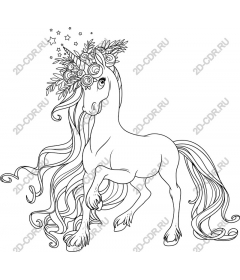  Charming unicorn