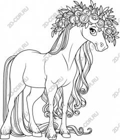  Fancy floral crown for horses