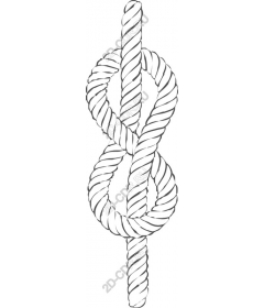  The knot twisted rope