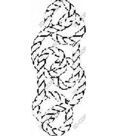  Elegant rope