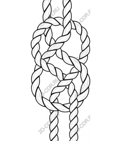  Elegant knot of the rope