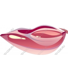  Luscious Lips
