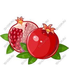  Juicy pomegranate