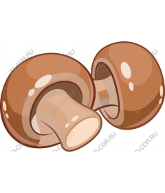  Charming mushroom