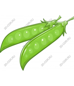  Fresh green peas