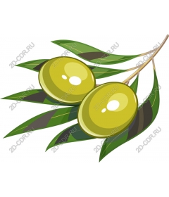  Оливковая ветвь