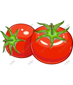  Fresh tomatoes