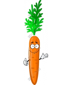  Funny cartoon carrot