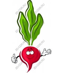  Funny cartoon radish