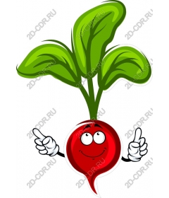  Happy Radish