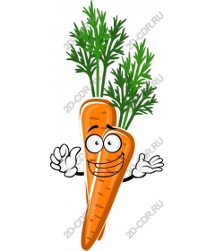  Playful Carrot