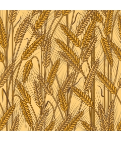  Wheat fields pattern