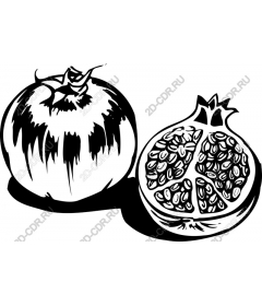 Tomato and pomegranate