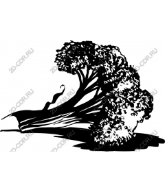 Majestic broccoli
