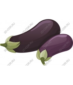 Eggplant and fresh