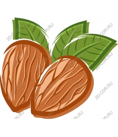 Миндаль с листьями