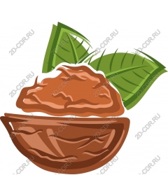 The delight of cocoa beans