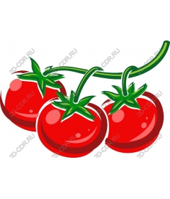 Tomato trio