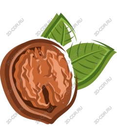  Delight hazelnut and