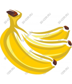  Tropical banana
