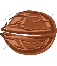 Walnut premium
