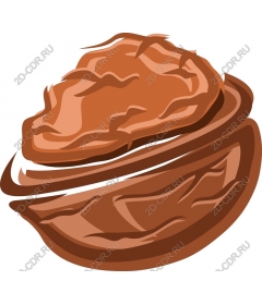  Walnut premium