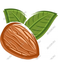  Миндаль с листьями