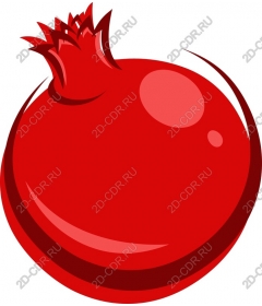 Juicy pomegranate