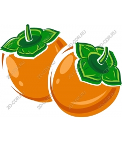  Хурма