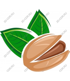  Pistachio nut