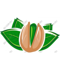  Pistachio nuts with leaves