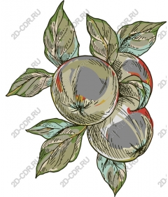 Rustic Apple