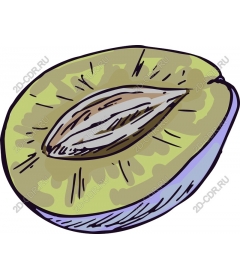 Кусочек киви