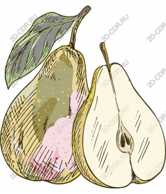  Vintage pear