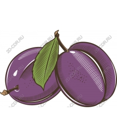 Juicy plum