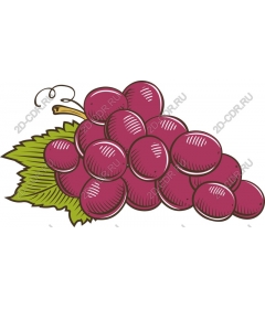  Grapes