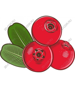 Juicy red berries