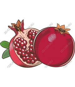  pomegranate