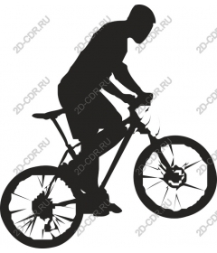 Dynamic rock rider