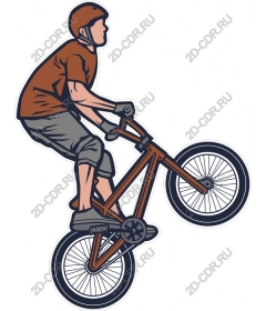 Dynamic rider BMX