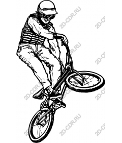 Dynamic rider BMX